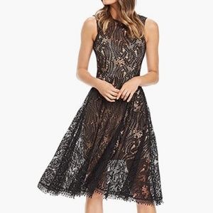 Dress the Population Women's Shane Sleeveless Lace Illusion Fit & Flare Midi Dre
